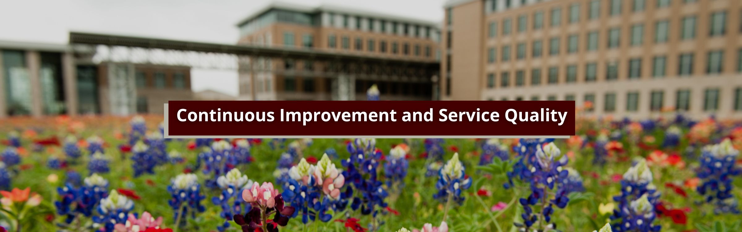 Continuous Improvement and Service Quality